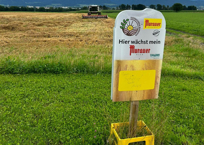 Murauer Bier Tafel welche bei den Braugerstenfelder stehen